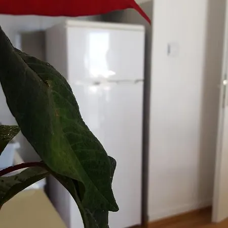 Oliver Ravlic Apartment Makarska