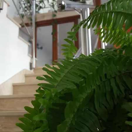 Apartment Oliver Ravlic *