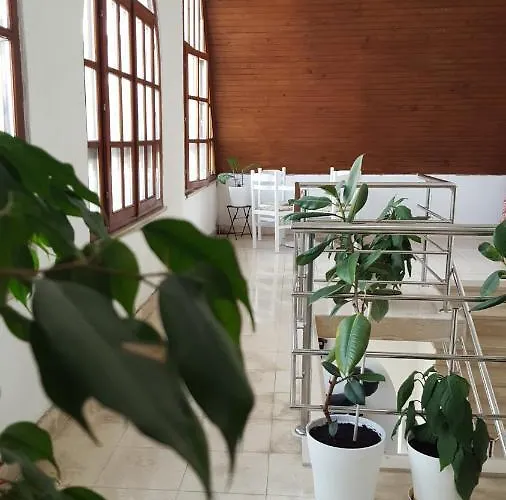 Appartement Oliver Ravlic