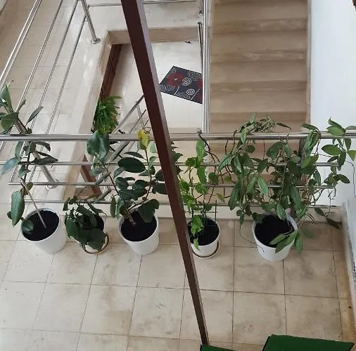 Appartement Oliver Ravlic