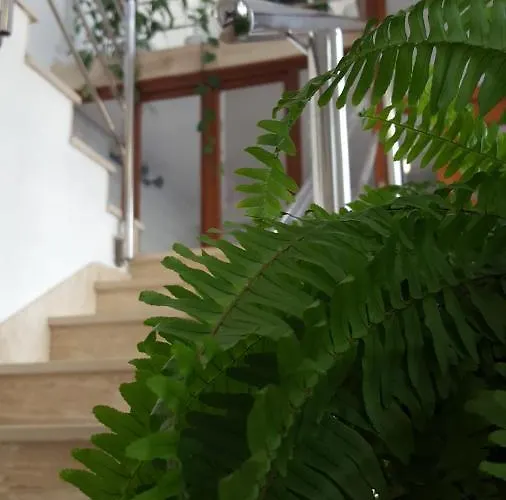 Appartement Oliver Ravlic *